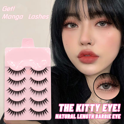 5 Pairs Manga Lashes  Natural Wispy  Korean Makeup